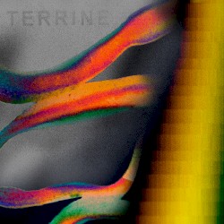 Terrine