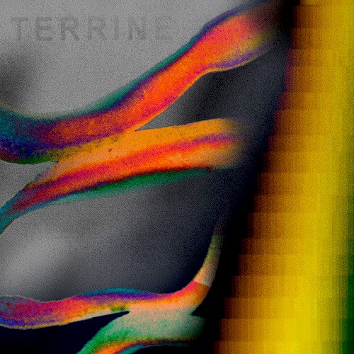 Terrine