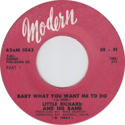 Baby What You Want Me to Do
