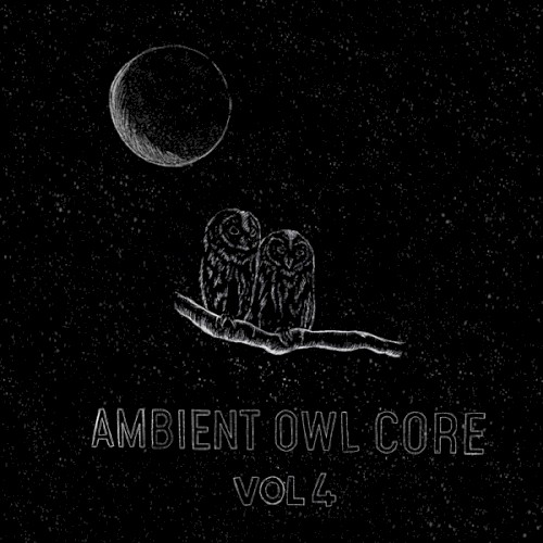 Ambient Owl Core vol. 4