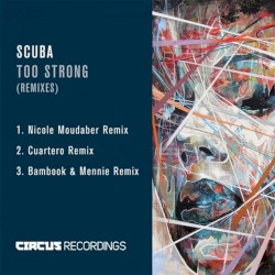 Too Strong (Remixes)