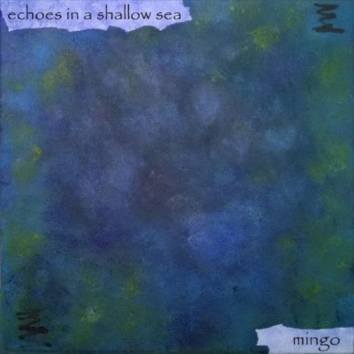 Echoes in a Shallow Sea