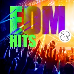 EDM Hits 2016