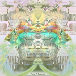 Reconnect
