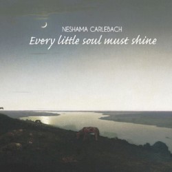Every Little Soul Must Shine