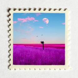 Postman