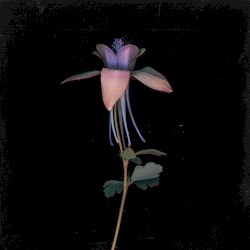 Eleuthera (Catching Flies remix)
