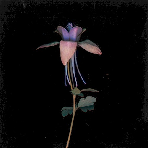 Eleuthera (Catching Flies remix)