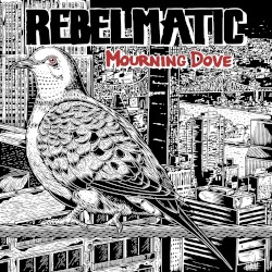 Mourning Dove