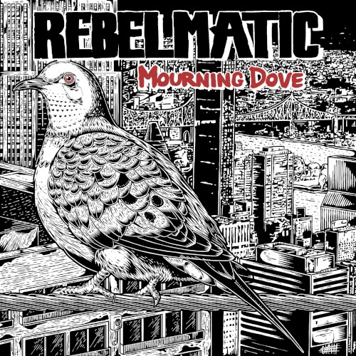 Mourning Dove