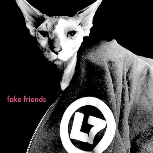 Fake Friends