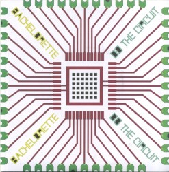 Do the Circuit