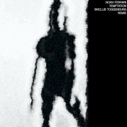 Temptation (Skiclub Toggenburg remix)