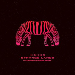 Strange Lands (Madness Express Remix)