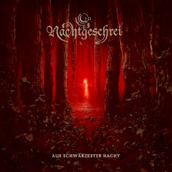 Aus schwärzester Nacht