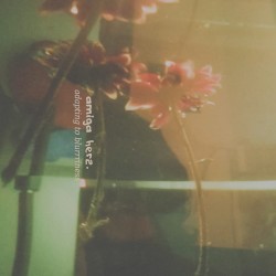 adapting to blurriness