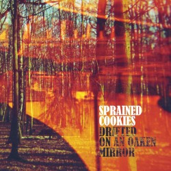 Drifted on an Oaken Mirror