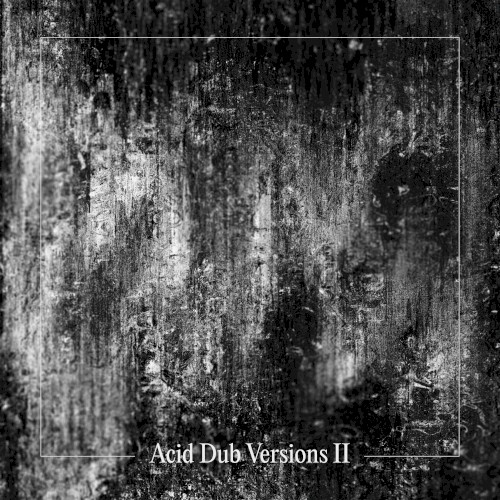 Acid Dub Versions II