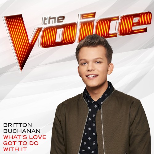 What’s Love Got to Do With It (The Voice Performance)