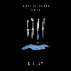 Blood in the Cut (Remixed)