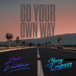 Go Your Own Way (Fleetwood Mac Cover)