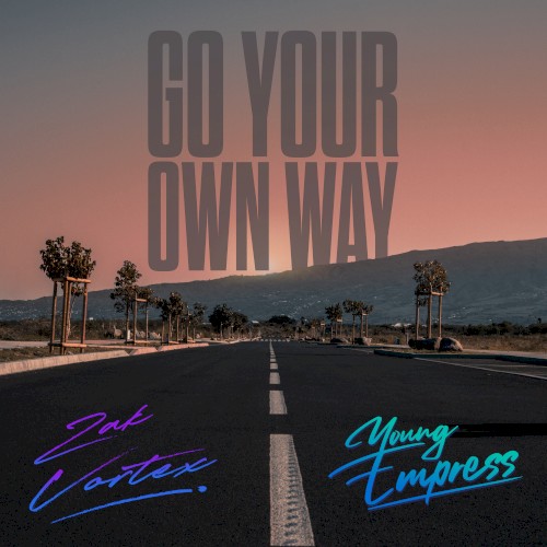 Go Your Own Way (Fleetwood Mac Cover)