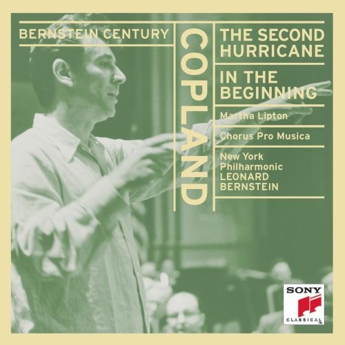 Copland: The Second Hurricane, In The Beginning