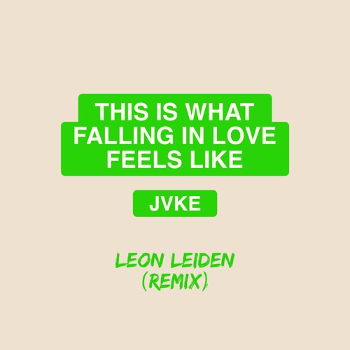 this is what falling in love feels like (Leon Leiden remix)