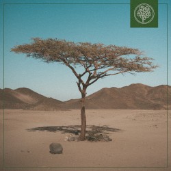 Bossa de flauta