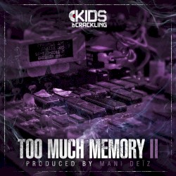 Too Much Memory II