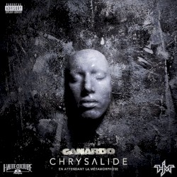Chrysalide