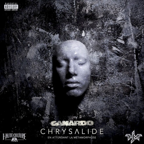 Chrysalide