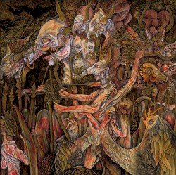 The Marrow Veil
