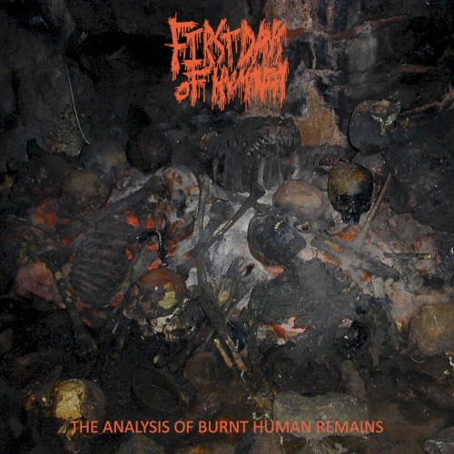 The Analysis of Burnt Human Remains
