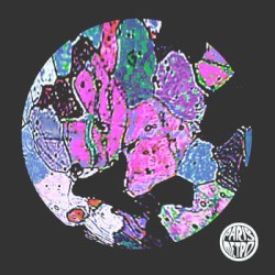 Archives Vol. 3