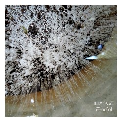 Fractal