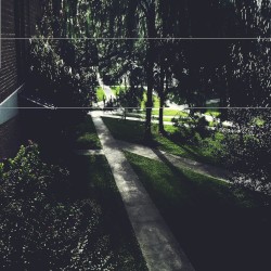 Portofino Villa
