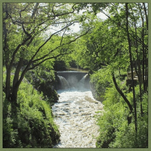 Nature Walks