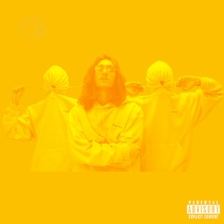 Yellow Fellow