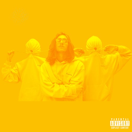 Yellow Fellow