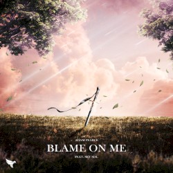 Blame On Me