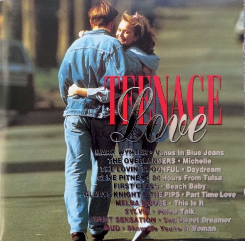 Teenage Love
