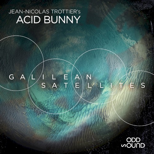 Galilean Satellites
