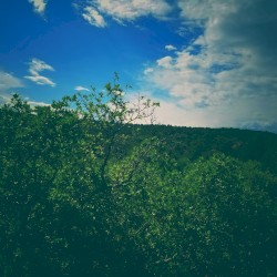Springtime