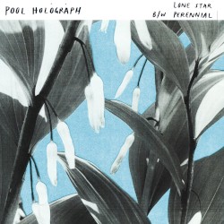 Lone Star b/w Perennial