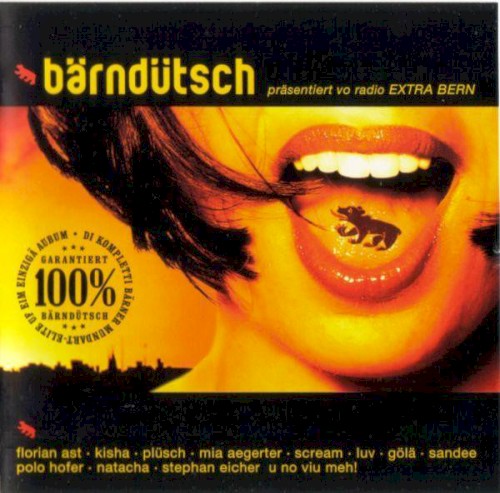 100% Bärndütsch