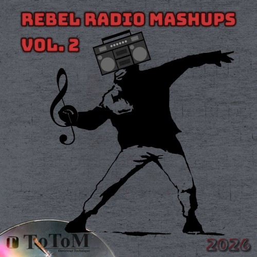 Rebel Radio Mashups, Vol. 2