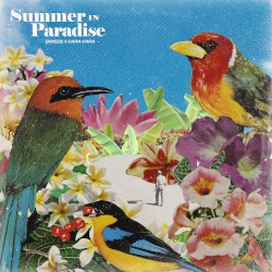 Summer in Paradise
