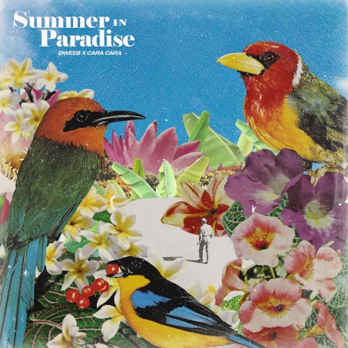 Summer in Paradise