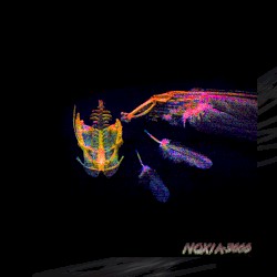 New Year Remixes